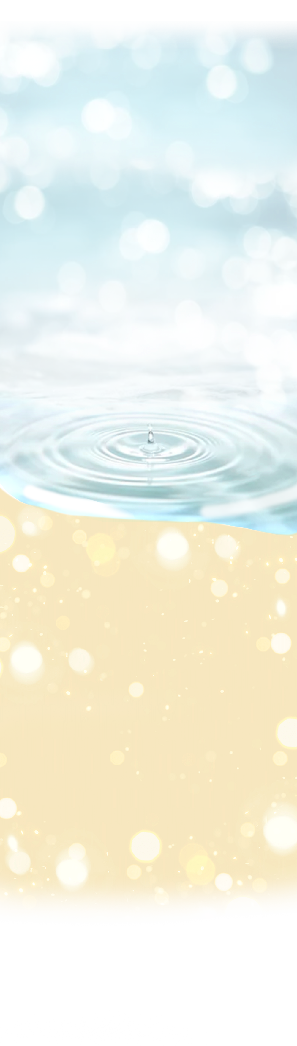 GINGER6(ジンジャー6)