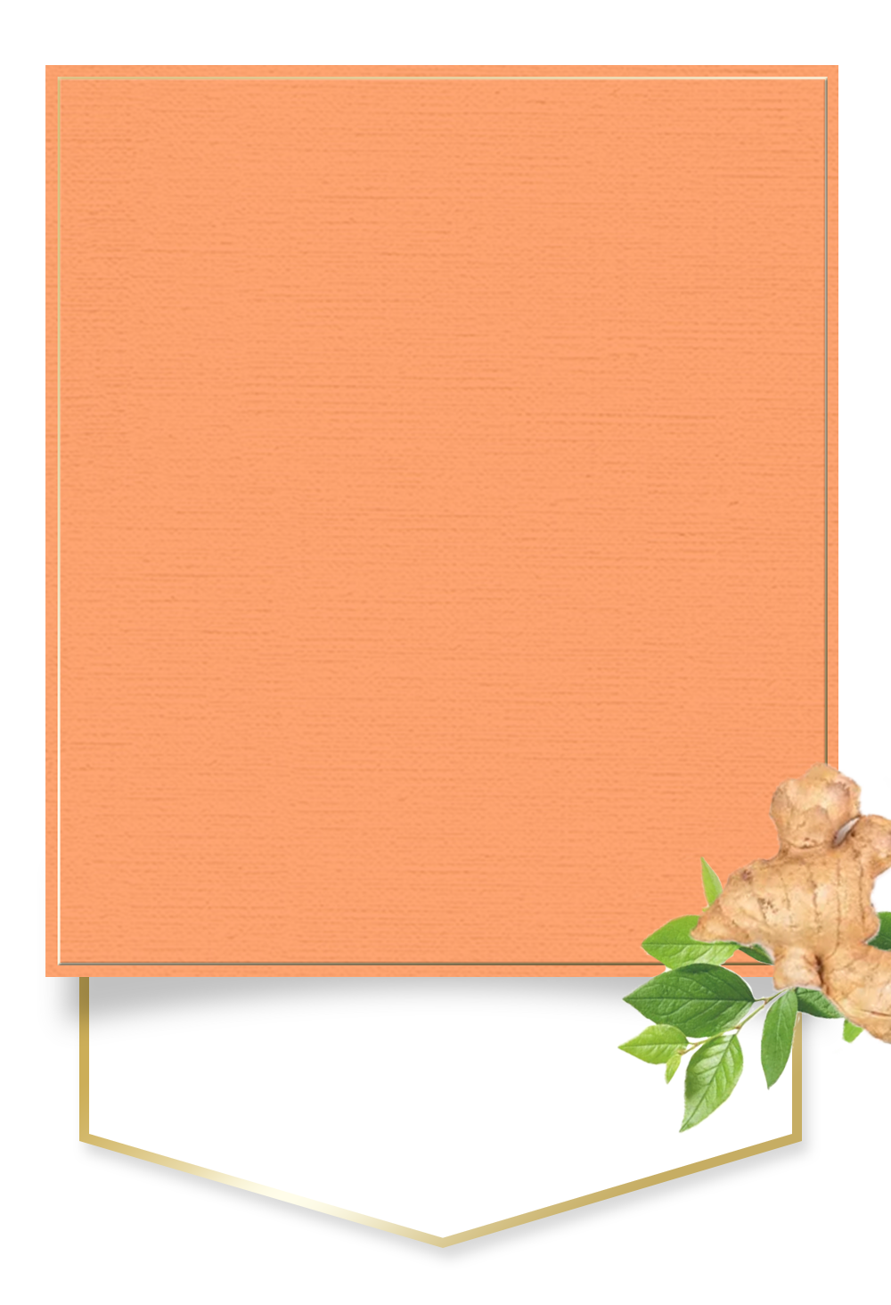 GINGER6(ジンジャー6)