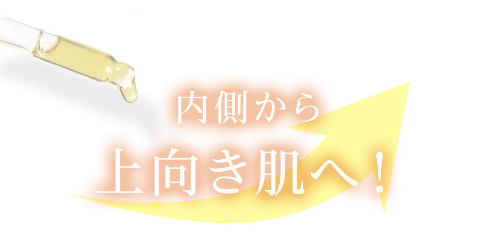 内側から上向き肌へ！
