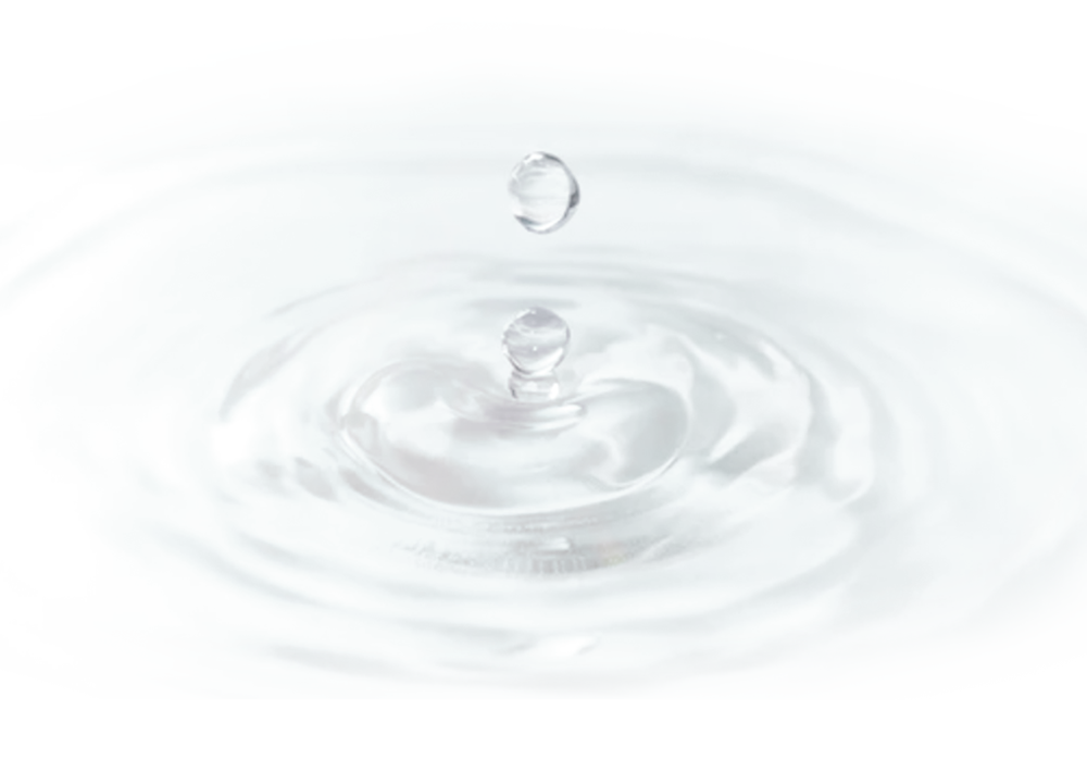 GINGER6(ジンジャー6)