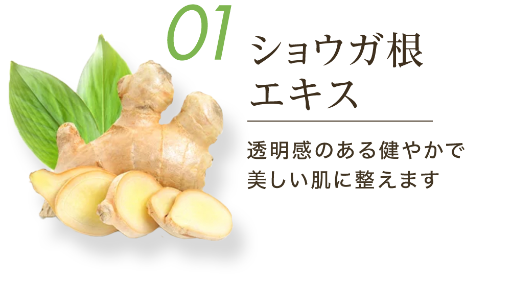01ショウガ根エキス 透明感のある健やかで美しい肌に整えます