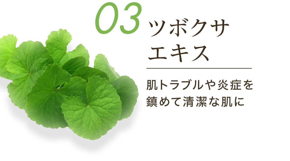 03ツボクサエキス 肌トラブルや炎症を鎮めて清潔な肌に