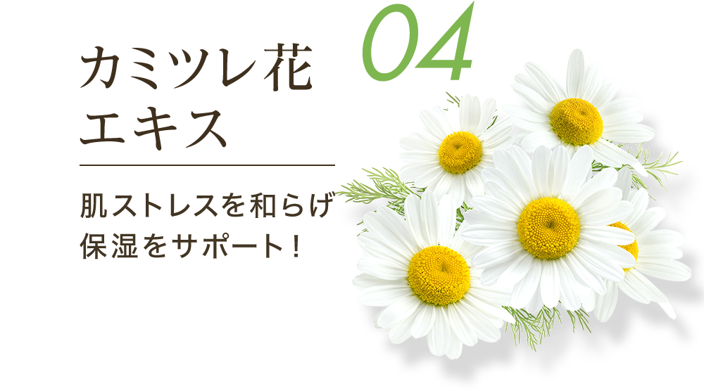04カミツレ花エキス 肌ストレスを和らげ保湿をサポート！