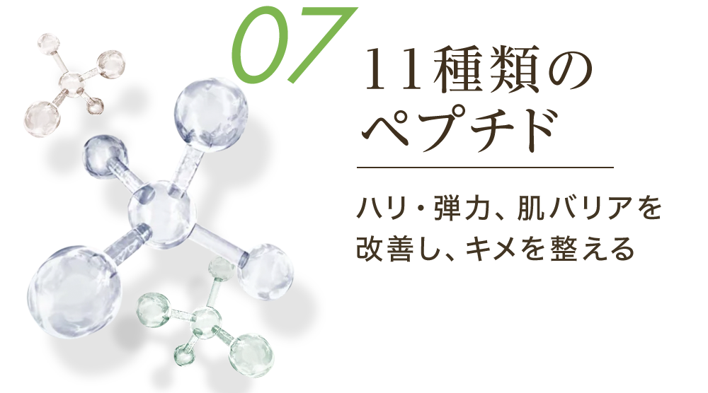 07 11種類のペプチド ハリ・弾力、肌バリアを改善し、キメを整える