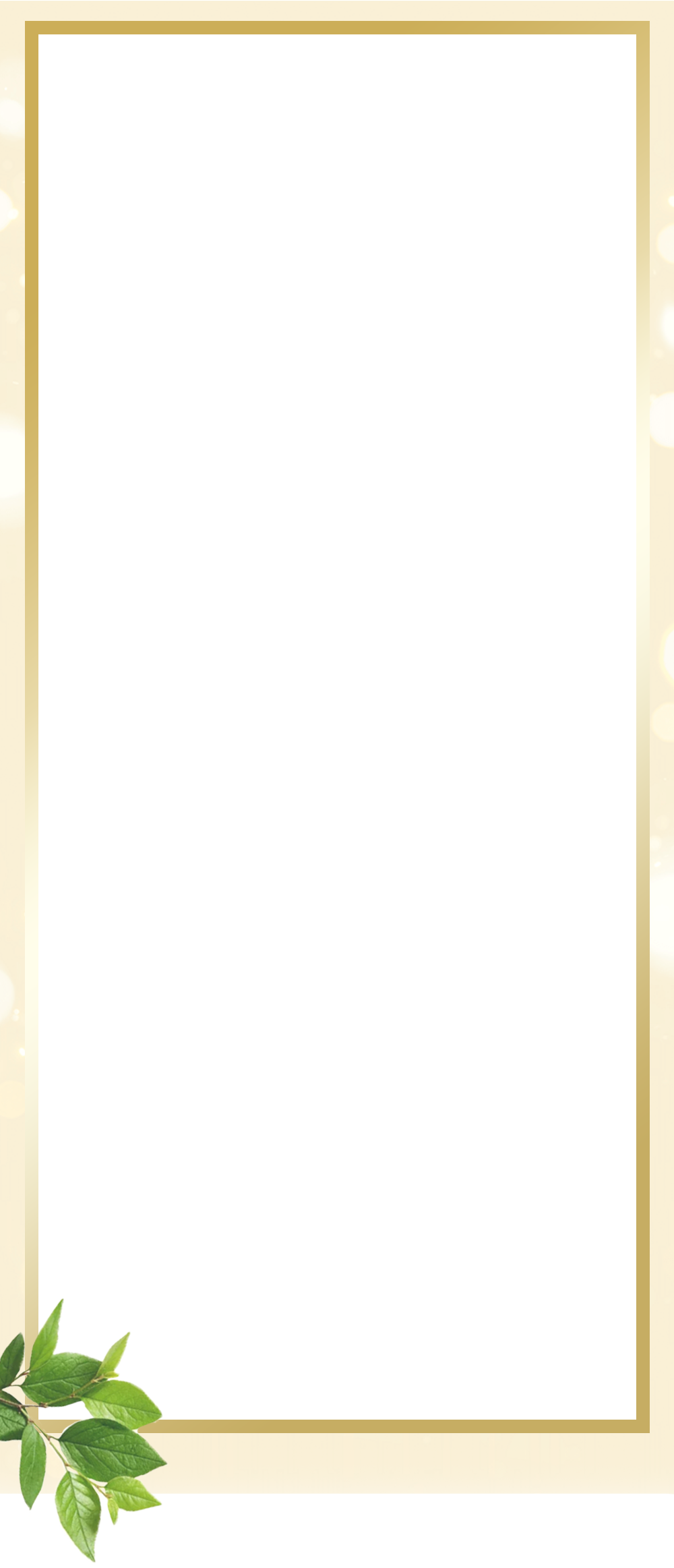 GINGER6(ジンジャー6)