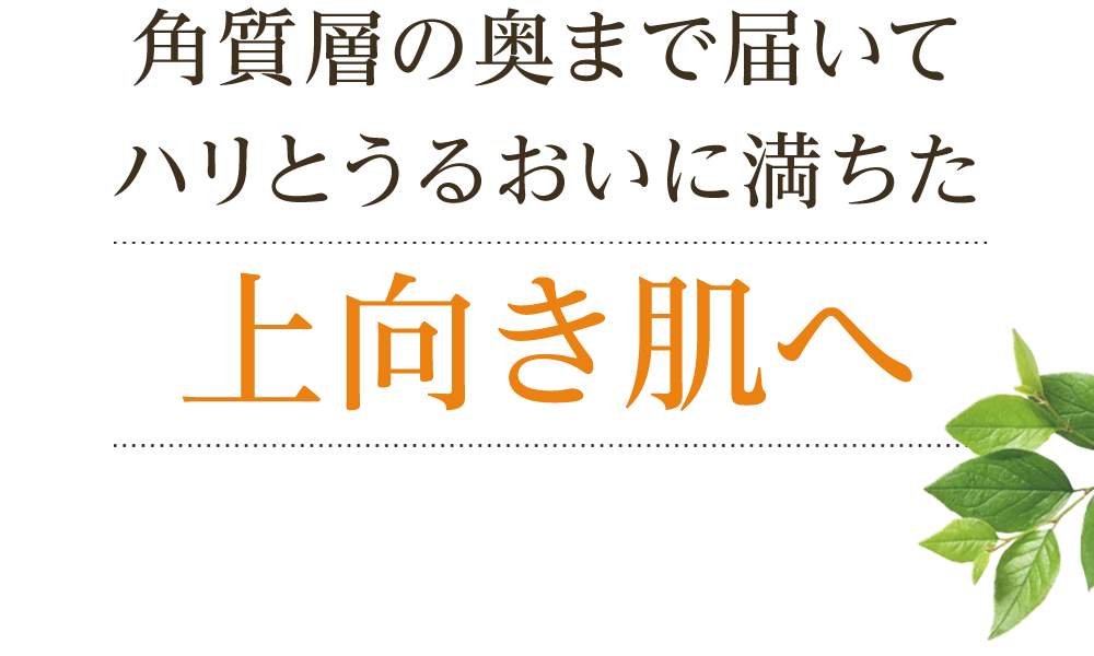 角質層の奥まで届いてハリとうるおいに満ちた上向き肌へ