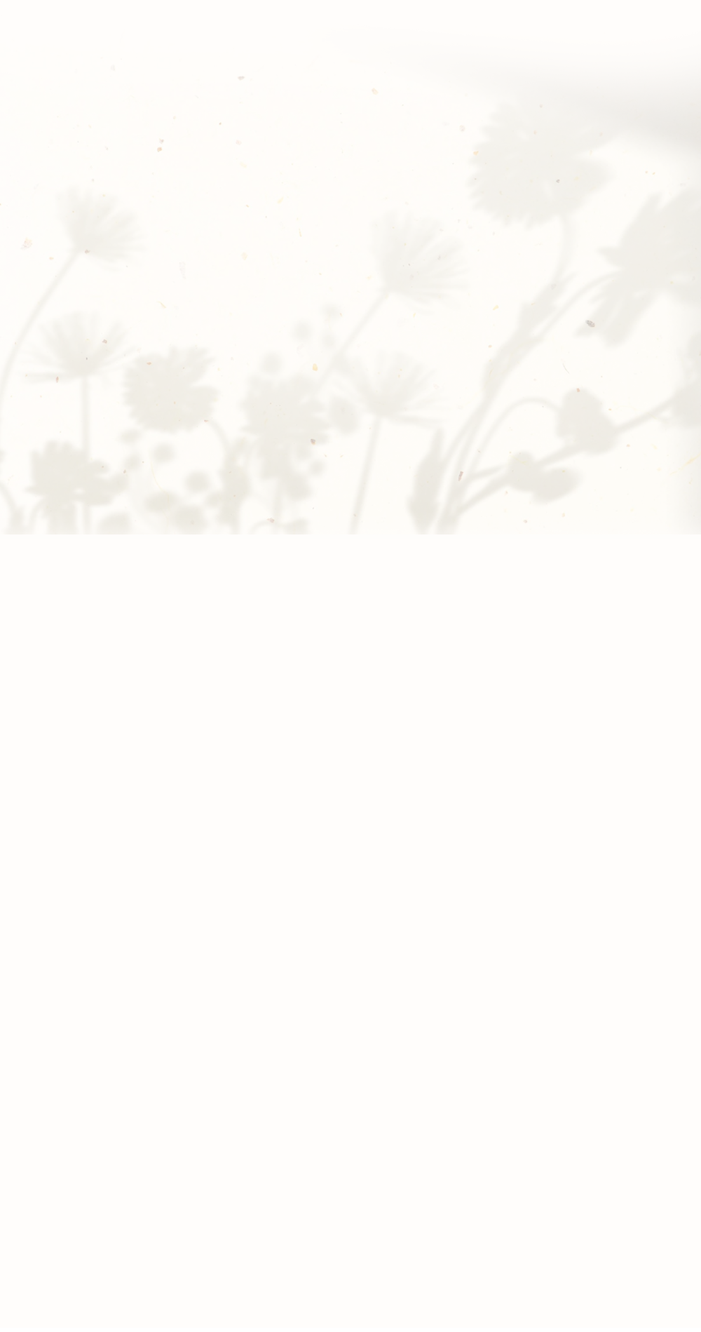 GINGER6(ジンジャー6)