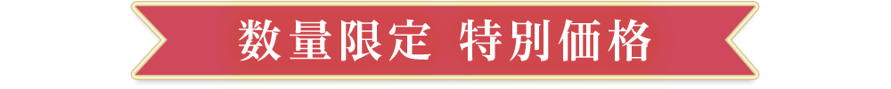 数量限定 特別価格