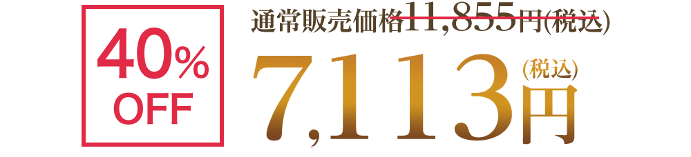 40%OFF 通常販売価格11,855円(税込)→7,113円