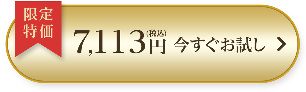 今すぐ購入する